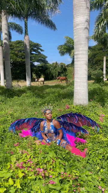 Destiny wearing a butterfly costume in a field - about me