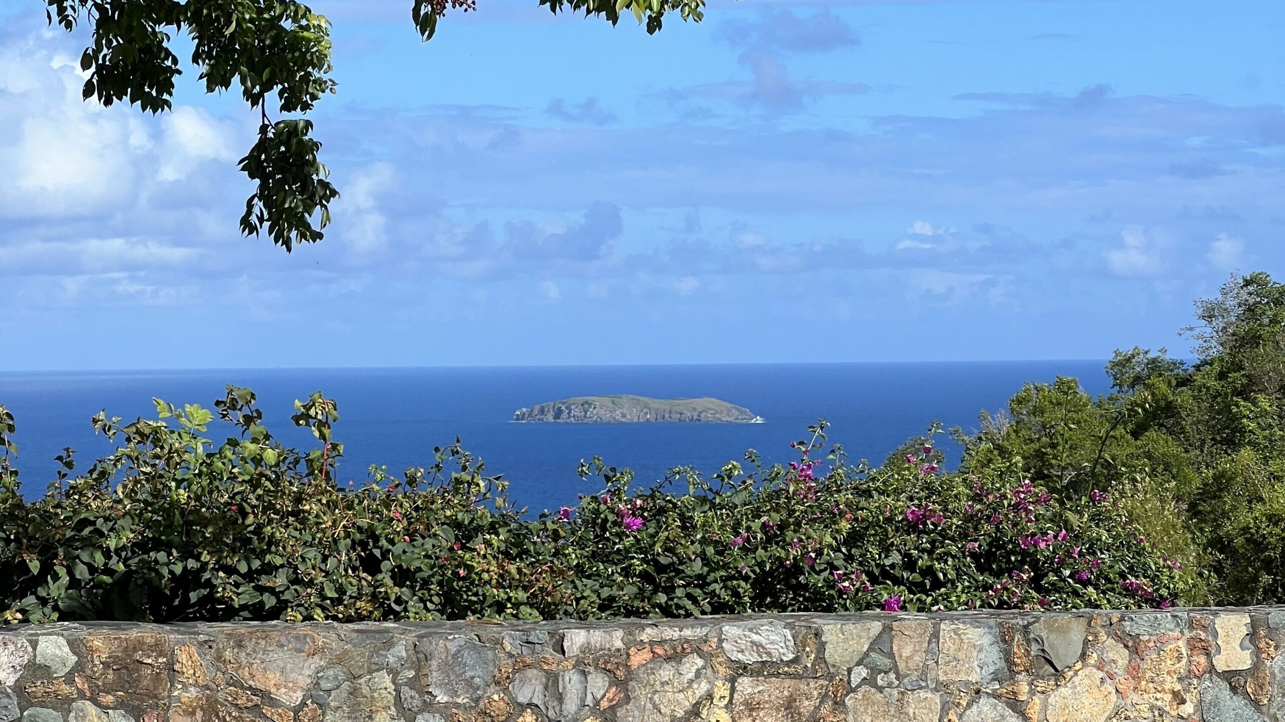 Scenic view of Botany Bay entrance, showcasing a stunning lookout point with lush greenery, turquoise waters, and expansive ocean views.