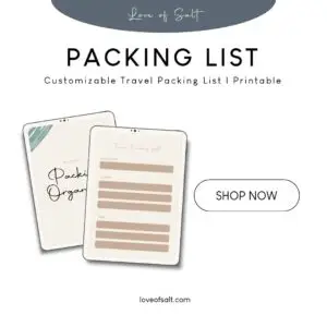 Customizable Travel Packing List | Digital Download | Printable Packing Checklist for Every Trip