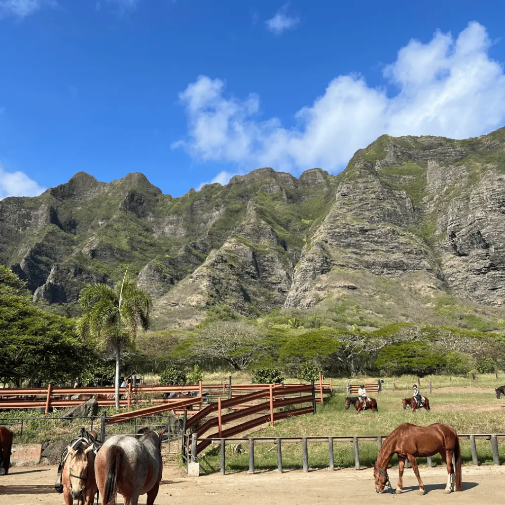 Horses on a farm representing hands-off business automation services