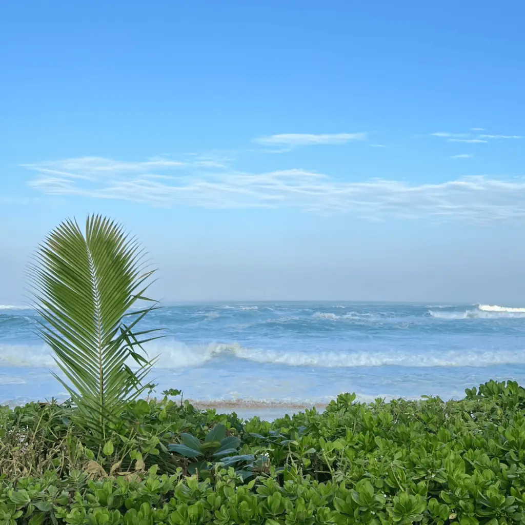 Tropical coastline representing custom web design services in the US Virgin Islands